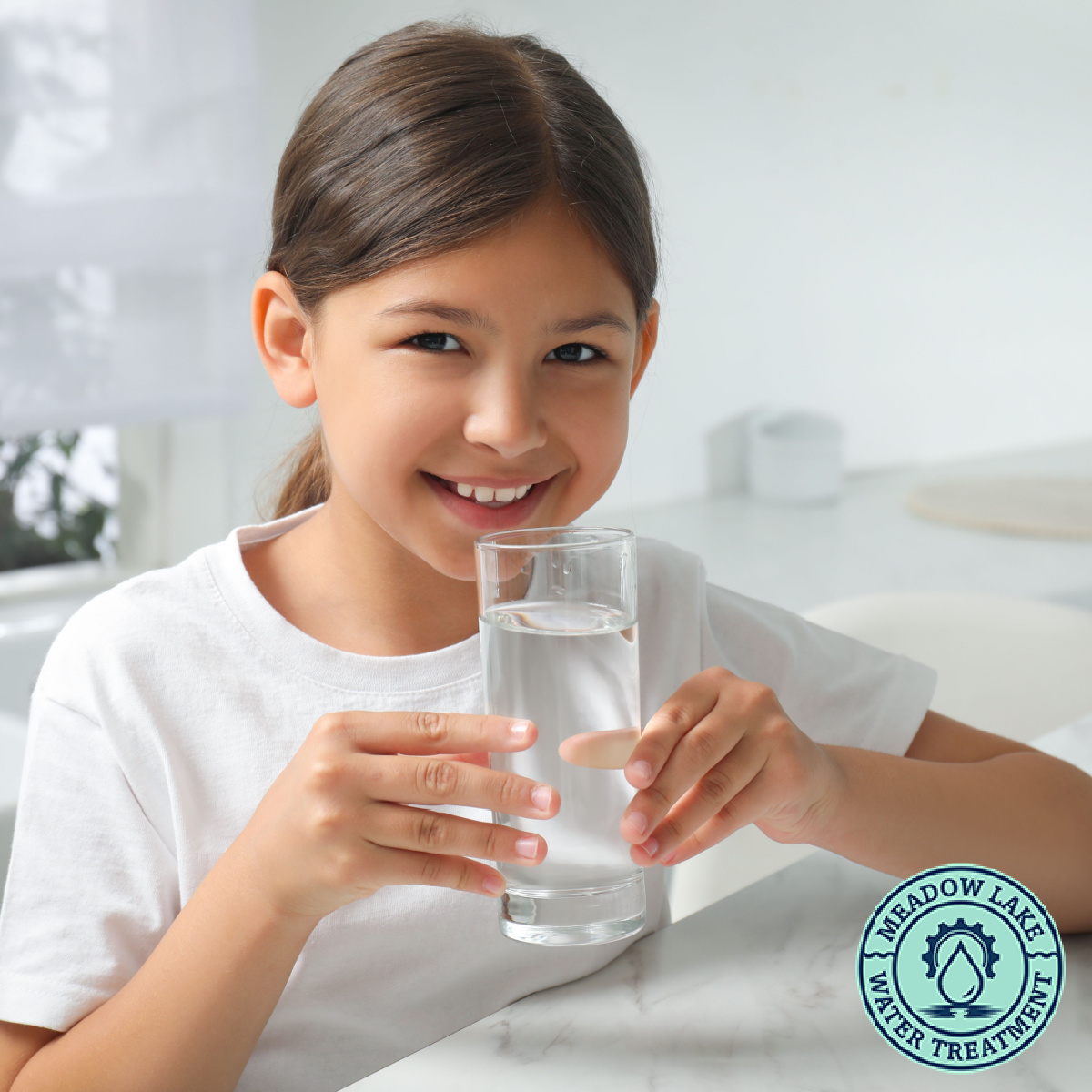 Discover Clean and Pure Water with Meadow Lake Water Treatment in Lake Stevens!